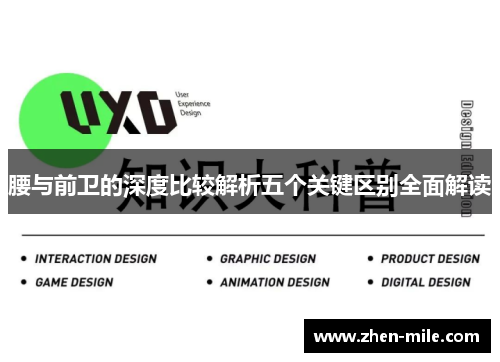 腰与前卫的深度比较解析五个关键区别全面解读