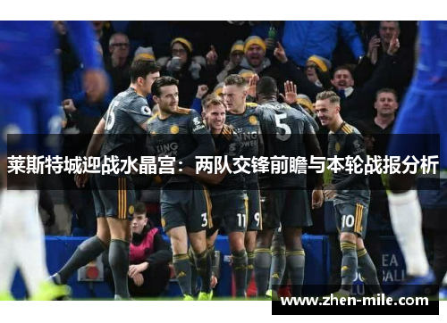 莱斯特城迎战水晶宫：两队交锋前瞻与本轮战报分析