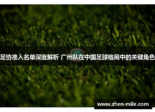 足协准入名单深度解析 广州队在中国足球格局中的关键角色