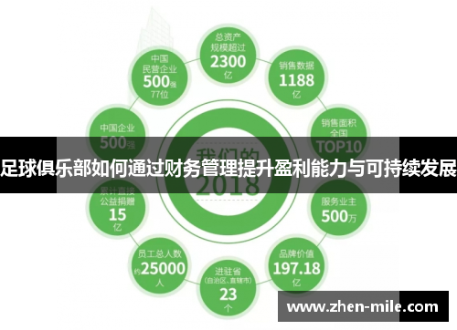足球俱乐部如何通过财务管理提升盈利能力与可持续发展