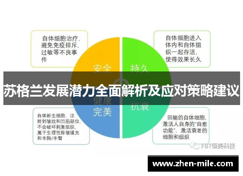 苏格兰发展潜力全面解析及应对策略建议