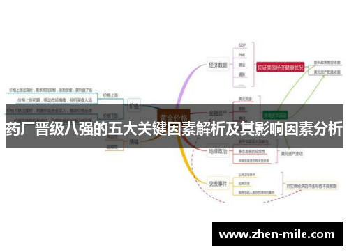 药厂晋级八强的五大关键因素解析及其影响因素分析