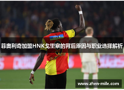 菲奥利奇加盟HNK戈里察的背后原因与职业选择解析