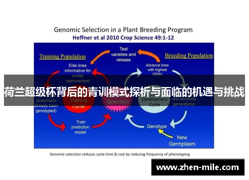 荷兰超级杯背后的青训模式探析与面临的机遇与挑战