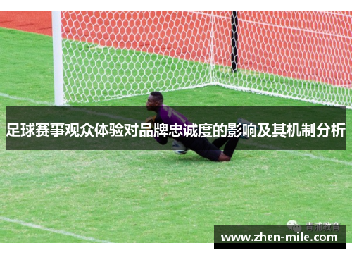 足球赛事观众体验对品牌忠诚度的影响及其机制分析